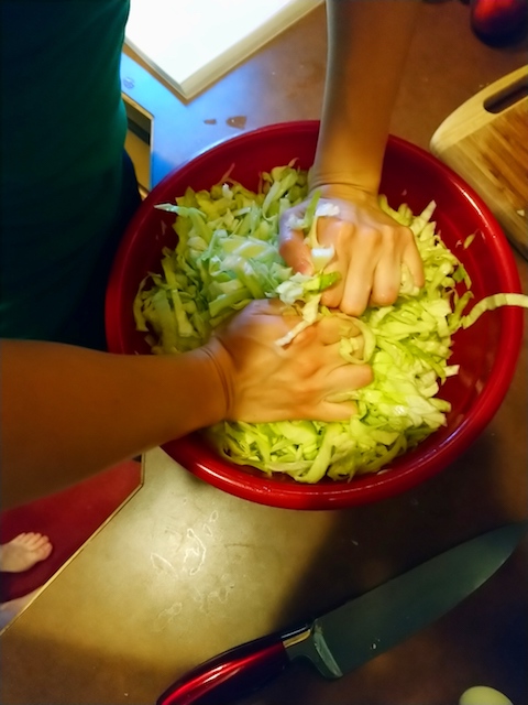 fermenting-sauerkraut-at-home